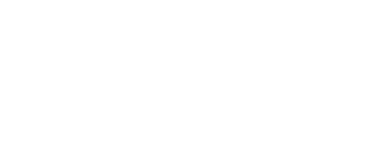 Skiver Investment Services, Inc.